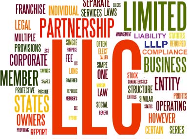 What is a Low Profit Limited Liability Company?