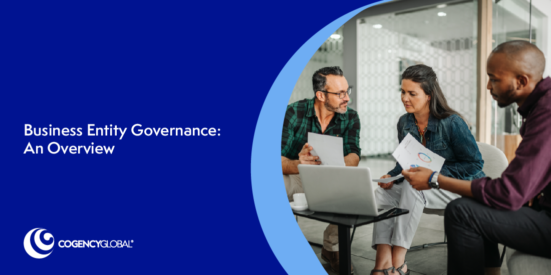 Business Entity Governance: An Overview